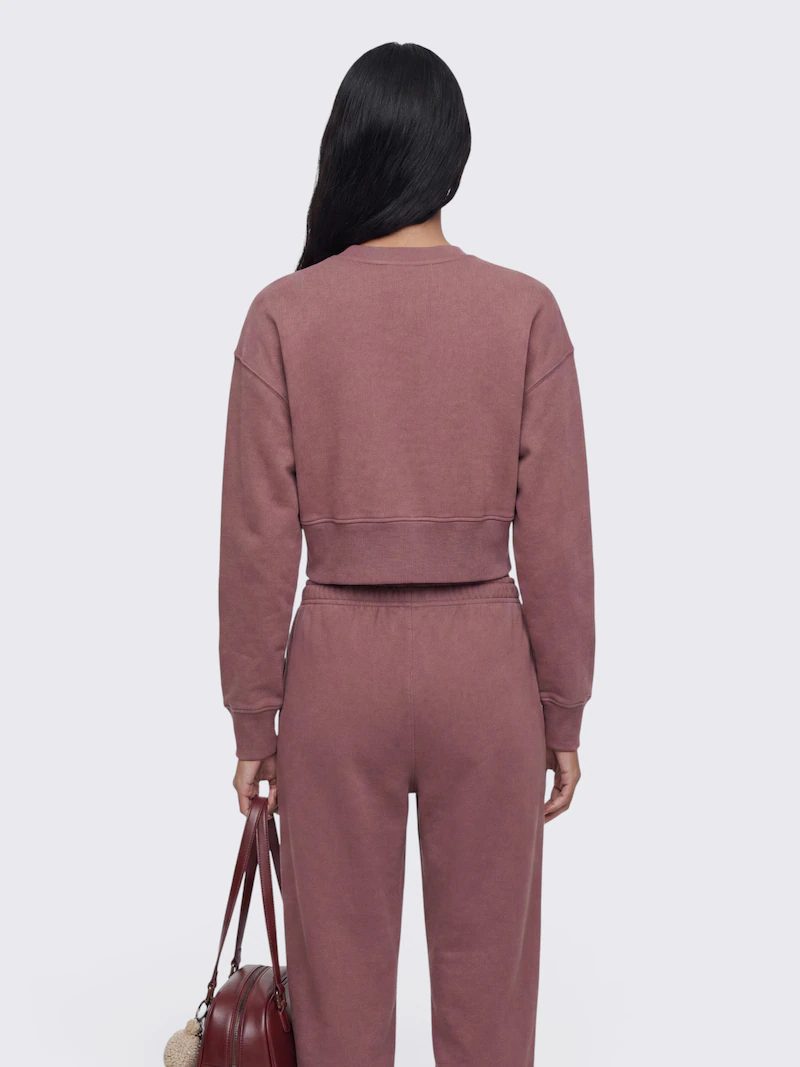 Cropped Sweatshirt and Jogger Set, image 4